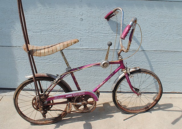 schwinn_l.jpg